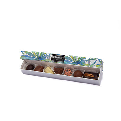 CAJA TROPICAL SEA REGLET