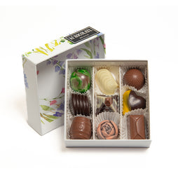 CAJA WILD SPRING 10
