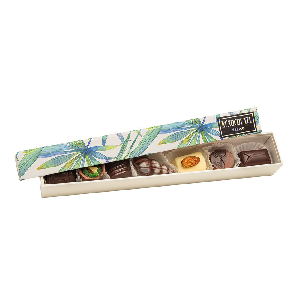 CAJA TROPICAL SEA REGLET