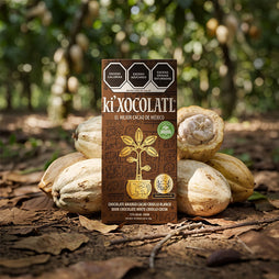 Chocolate amargo Cacao Criollo Blanco